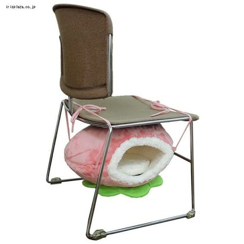 �y�b�c���[�g �j�����Ƃ��n�����b�N�̎� �������� _4