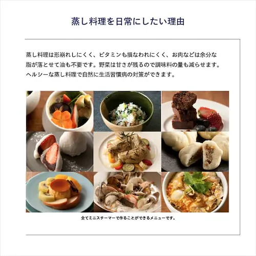 ラッセルホブス ミニスチーマー 7910JP _3