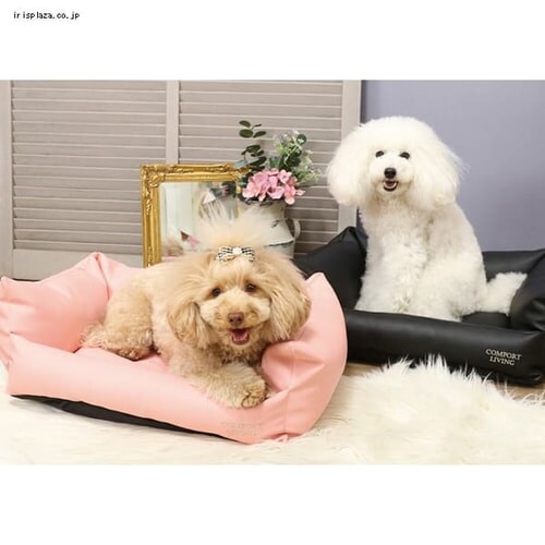 �n���u�T ���U�[�J�h���[�R���t�H�[�g���r���OM �_�[�N�u���E��_2