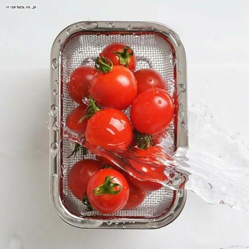 ���V�J�� �X�e�����X�p�^���؂�U�� �� YJ2348  _2