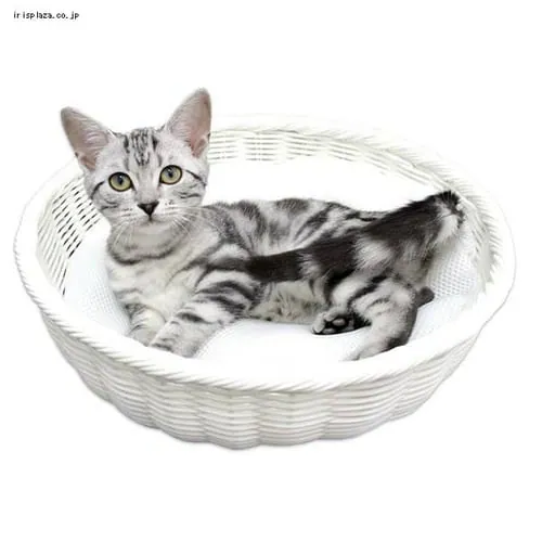 �y�b�g�v�� ��҂݃J���[���E���h�x�b�h �z���C�g _2