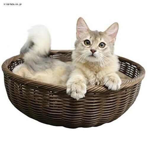 �y�b�g�v�� ��҂݃J���[���E���h�x�b�h �z���C�g _4