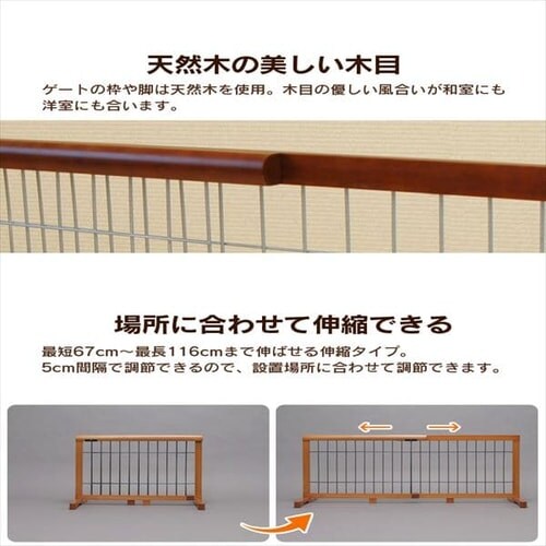 CONTINUOUS STAR �L�k�y�b�g�p�Q�[�g S PG-65 �S2�F_3