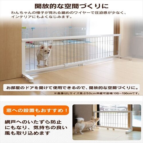 CONTINUOUS STAR �L�k�y�b�g�p�Q�[�g S PG-65 �S2�F_6