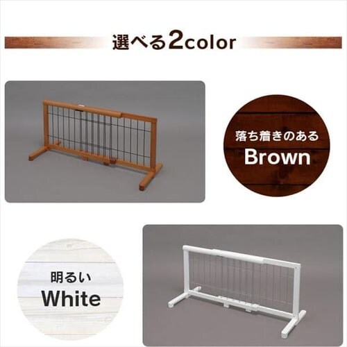 CONTINUOUS STAR �L�k�y�b�g�p�Q�[�g S PG-65 �S2�F_7