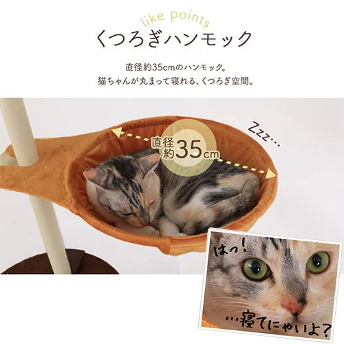 キャットポール 突っ張り _4