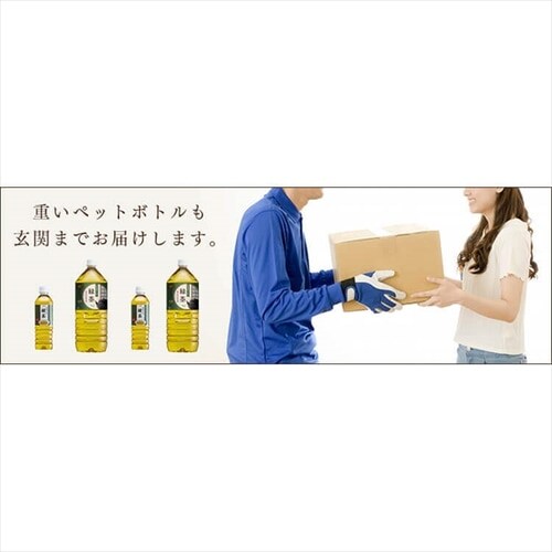 �y6�{�zLDC ����������̉G���� 2L �y������s�z_6