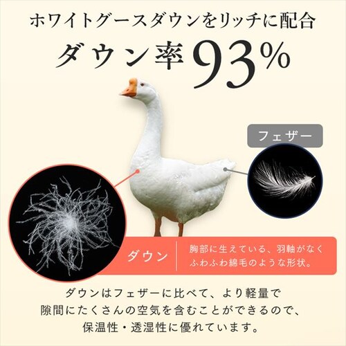 �H�ѕz�c �V���O�������O WGD93% 400dp 1.0kg �x�[�W�� �y�����z �y������s�z_7