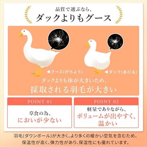 �H�ѕz�c �V���O�������O WGD93% 400dp 1.0kg �x�[�W�� �y�����z �y������s�z_8