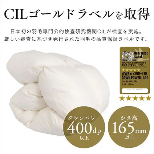 �H�ѕz�c �V���O�������O WGD93% 400dp 1.0kg �x�[�W�� �y�����z �y������s�z_9