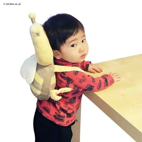 シンセーインターナショナル せおってクッション 88-861・88-862 全2色【プラザセレクト】_2