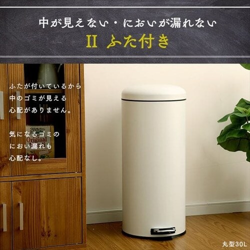ゴミ箱 ペダル式 角型 12L AFB-S12 ピュアホワイト 7136409 │アイリス