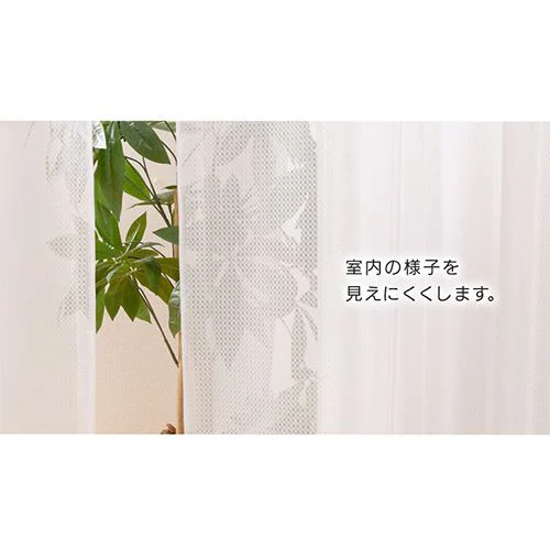 ���[�X�J�[�e�� 2���g �ԕ��L���b�` UV69.3���J�b�g ��100�~��98�`208�p_5