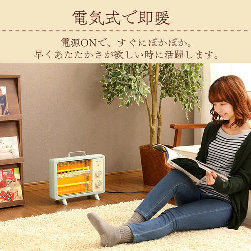 �d�C�X�g�[�u EHT-800D-C �A�C�{���[_7