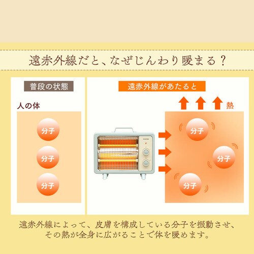 �d�C�X�g�[�u EHT-800D-C �A�C�{���[_10