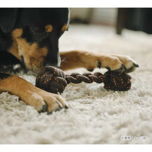 ���[�N���� ���[�v�g�C S �o�[�x�� �y�v���U�Z���N�g�z_4