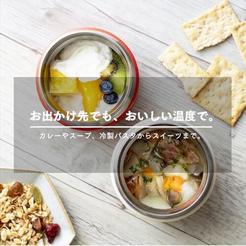 �T�[���X �^��f�M�X�[�v�W���[ 0.3L JBU-300-R ���b�h_3