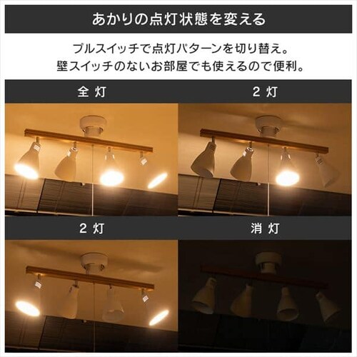 �y�d���Z�b�g�z 4���V�[�����O���C�g �X�g���[�g�^�C�v PCL-SW401-DH �_�[�N�O���[/ LED�d�� �d���F LDA4L-G-4T62P _10