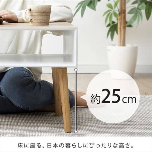 �{�b�N�X�e�[�u�� M BTL-6040 �i�`������ �y�O�����s�z�y������s�z�y�����s�z_7