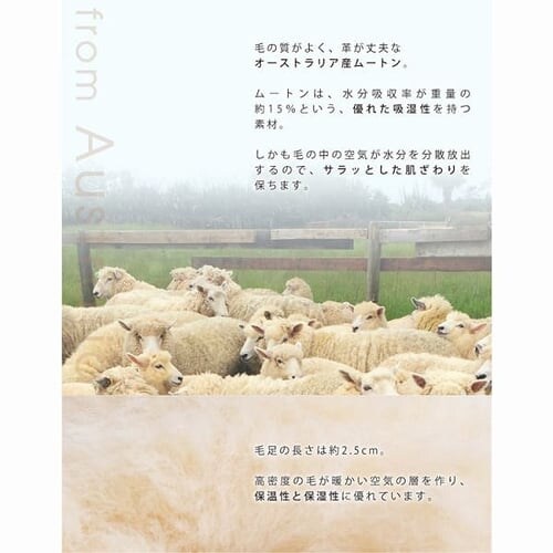 ���[�g���X���b�p IRP3115 �x�[�W��M_5