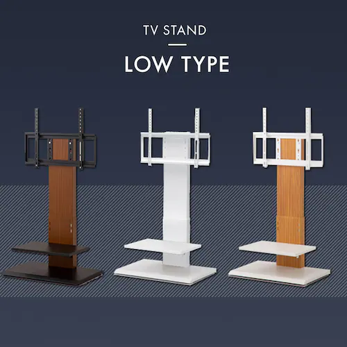 �Ǌ|�����X�^���h�e���r�� ���[�^�C�v �i�`������ _2