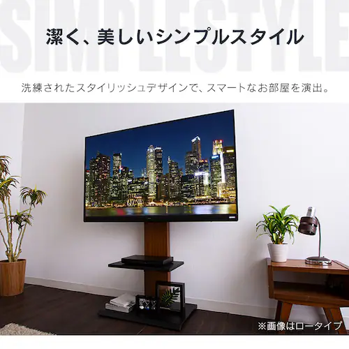 �Ǌ|�����X�^���h�e���r�� ���[�^�C�v �i�`������ _10