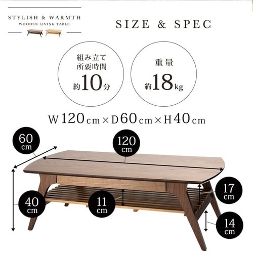 ���o�t���r���O�e�[�u�� DLT-1200 _11