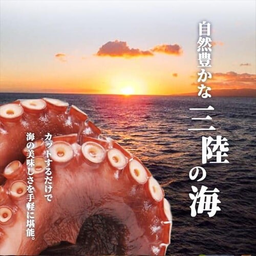 �O���Y �σ_�R 1kg �y������s�z_11