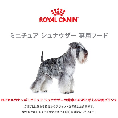 ロイヤルカナン ミニチュアシュナウザー 成犬〜高齢犬用 1.5kg BHN(ブリード ヘルス ニュートリション)rcdb20_2