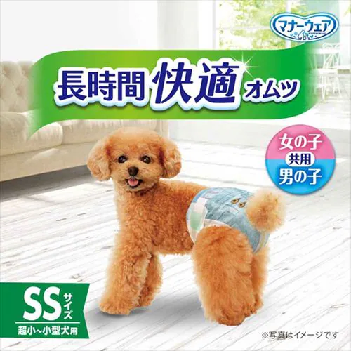 ���j�E�`���[�� �}�i�[�E�F�A �����ԉ��K�I���c _17