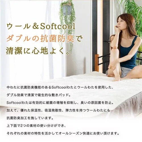 �R�ۖh�L�E�􂦂�r�э��x�b�h�p�b�h �V���O�� S �A�C�{���[ AKBYBP-S _2