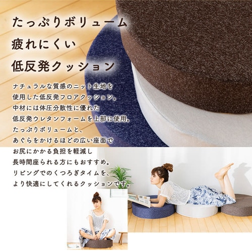 厚型フロアクッション55R AHK-55R ライトグレー 7148767 │アイリス
