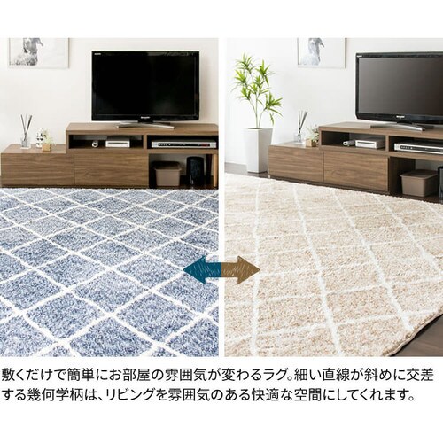 �W���K�[�h���O �􉽊w�� 200�~240cm JGDR-KIKA-2024 �S2�F�y�v���U�Z���N�g�z_4