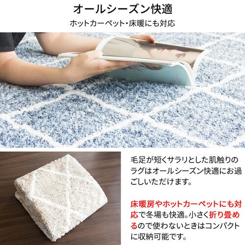 �W���K�[�h���O �􉽊w�� 200�~240cm JGDR-KIKA-2024 �S2�F�y�v���U�Z���N�g�z_8