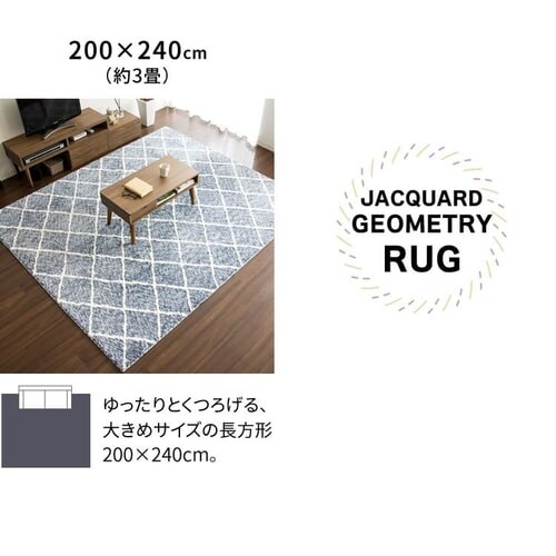 �W���K�[�h���O �􉽊w�� 200�~240cm JGDR-KIKA-2024 �S2�F�y�v���U�Z���N�g�z_11