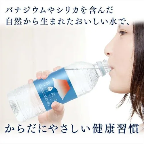 �y48�{�z�~�c�E���R�r�o���b�W �x�m����JAPANWATER 500ml �o�i�W�E�����V���J�V�R�� ���x�����X�y������s�z_12