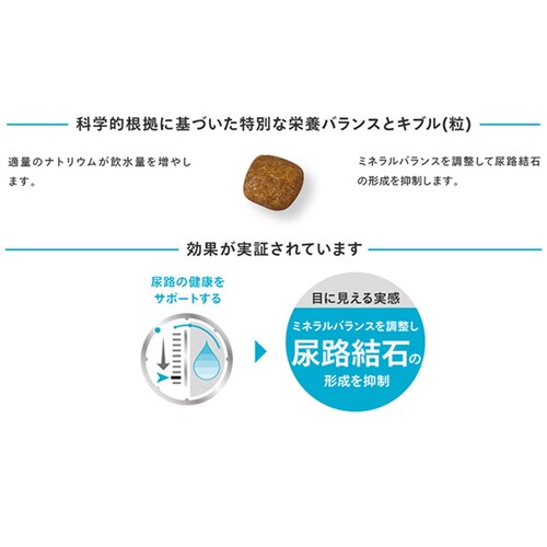 ロイヤルカナン ミニ ユリナリーケア 健康な尿を維持したい犬用 800g CCN(ケア ニュートリション)rcdb67_5