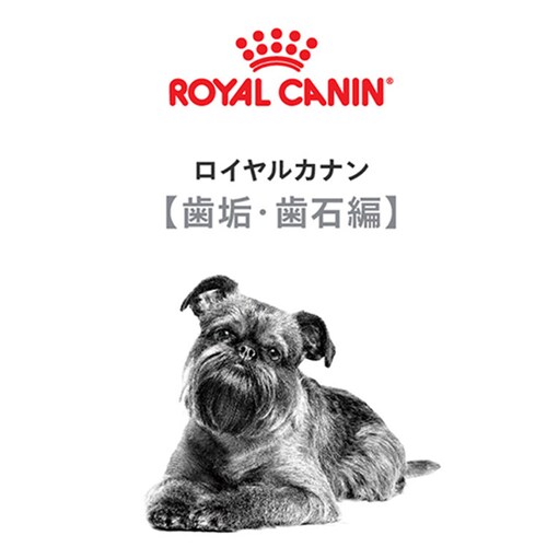 ロイヤルカナン ミニ デンタルケア 歯垢・歯石が気になる犬用 800g CCN(ケア ニュートリション)rcdb66_2