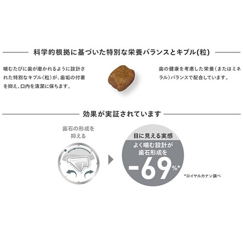 ロイヤルカナン ミニ デンタルケア 歯垢・歯石が気になる犬用 800g CCN(ケア ニュートリション)rcdb66_5