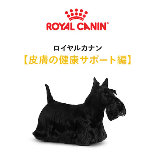 ロイヤルカナン 犬用 ミニ ダーマ コンフォート 800g CCN(ケア ニュートリション)rcdb62_2