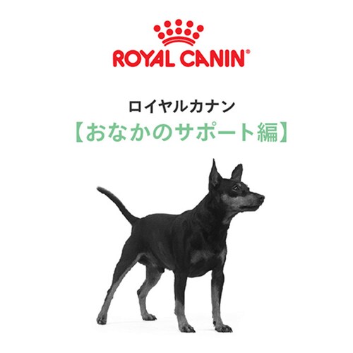 ロイヤルカナン 犬用 ミニ ダイジェスティブケア 1kg CCN(ケア ニュートリション)rcdb65_2