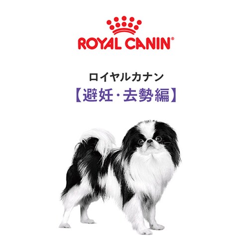 �y��A���z���C�����J�i�� �~�j �X�e�A���C�Y�h ���p 8kg CCN�i�P�A �j���[�g���V�����jrcdb60_2