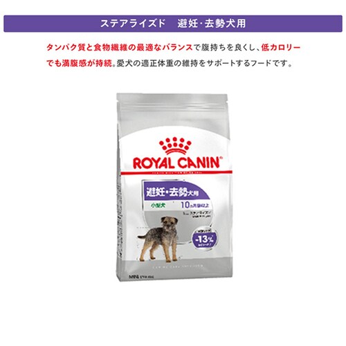 �y��A���z���C�����J�i�� �~�j �X�e�A���C�Y�h ���p 8kg CCN�i�P�A �j���[�g���V�����jrcdb60_4