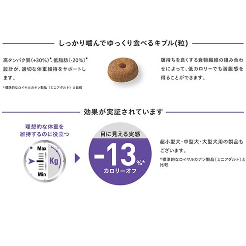 �y��A���z���C�����J�i�� �~�j �X�e�A���C�Y�h ���p 8kg CCN�i�P�A �j���[�g���V�����jrcdb60_5