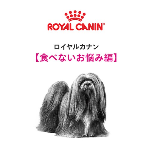 ロイヤルカナン ミニ エクシジェント 食事に好き嫌いがある犬用 800g CCN(ケア ニュートリション)rcdb64_2