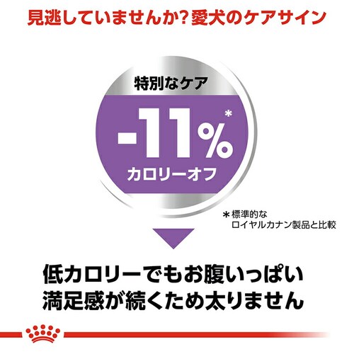 ロイヤルカナン エクストラ スモール ステアライズド 犬用 800g CCN(ケーナイン ケア ニュートリション)rcdb71_5