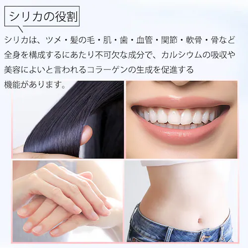 �y24�{�zSOL �V���J �Y�_�� 500ml ���x�����X �v���[���y������s�z_6