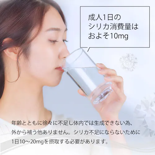 �y24�{�zSOL �V���J �Y�_�� 500ml ���x�����X �v���[���y������s�z_7