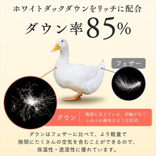 羽毛布団 ホワイトダックダウン85% 1.2kg セミダブルロング PAA19RP 花柄/ピンク_6