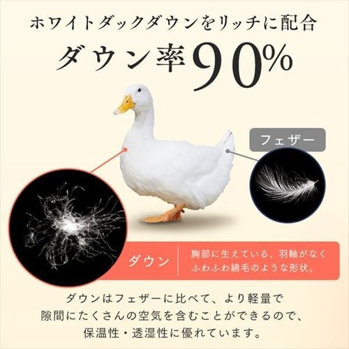 羽毛布団 セミダブルロング ホワイトダックダウン90% 1.2kg 全4色_7